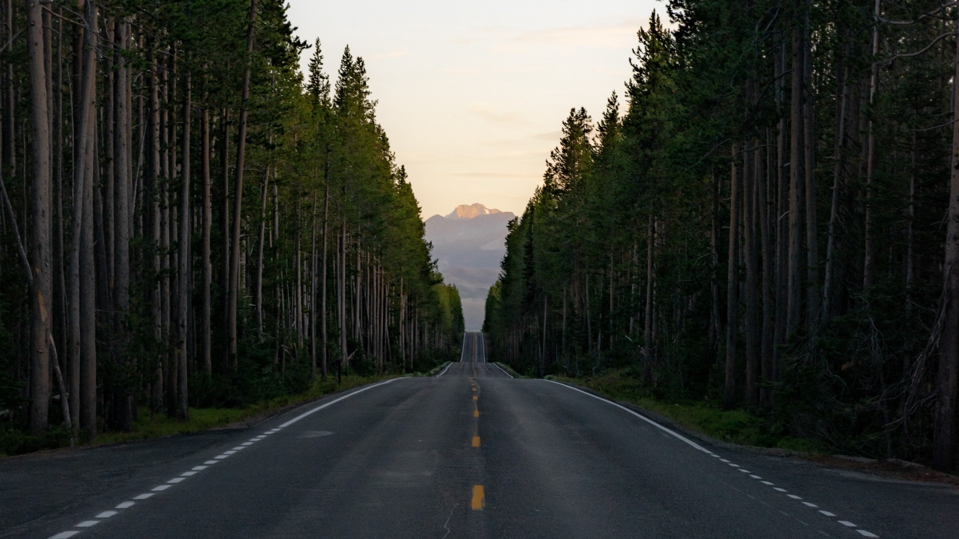 Road through a forest towards mountains HD Wallpaper