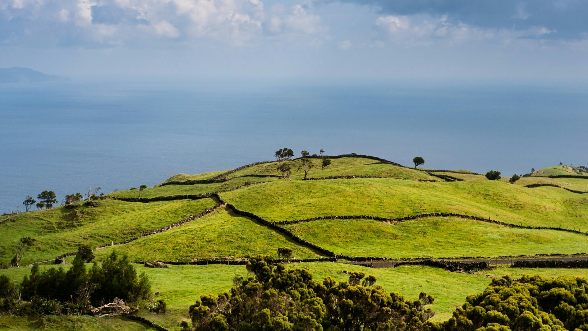 Green rolling hills with stone walls and the ocean HD Wallpaper