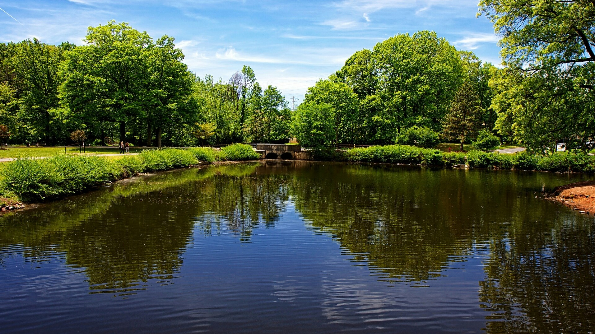 Pond with trees and a bridge HD Wallpaper