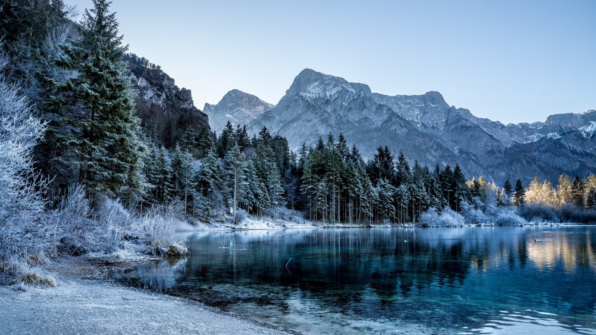 Winter forest and mountains reflected in a lake HD Wallpaper
