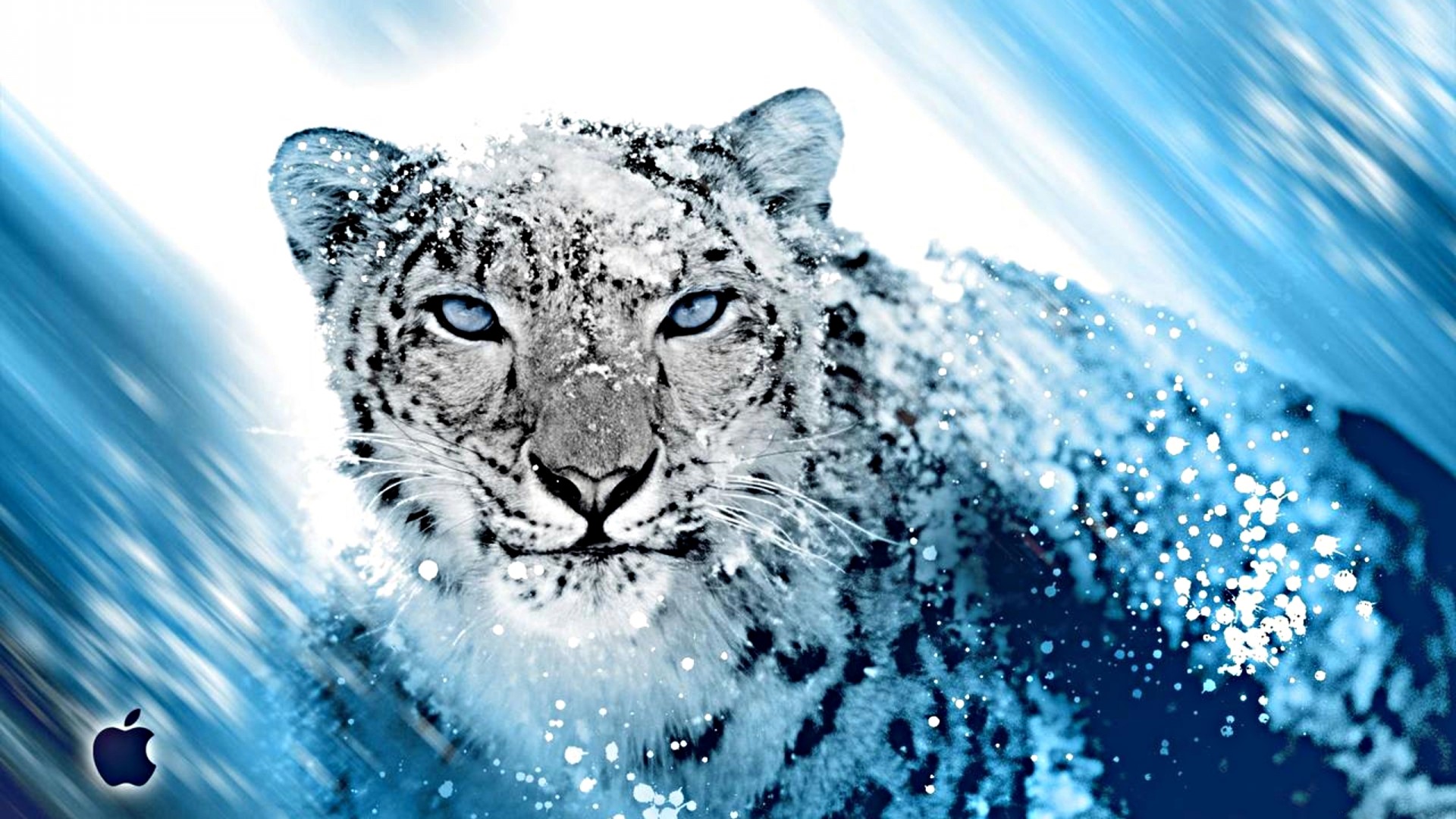 Snow Leopard with Apple Logo HD Wallpaper