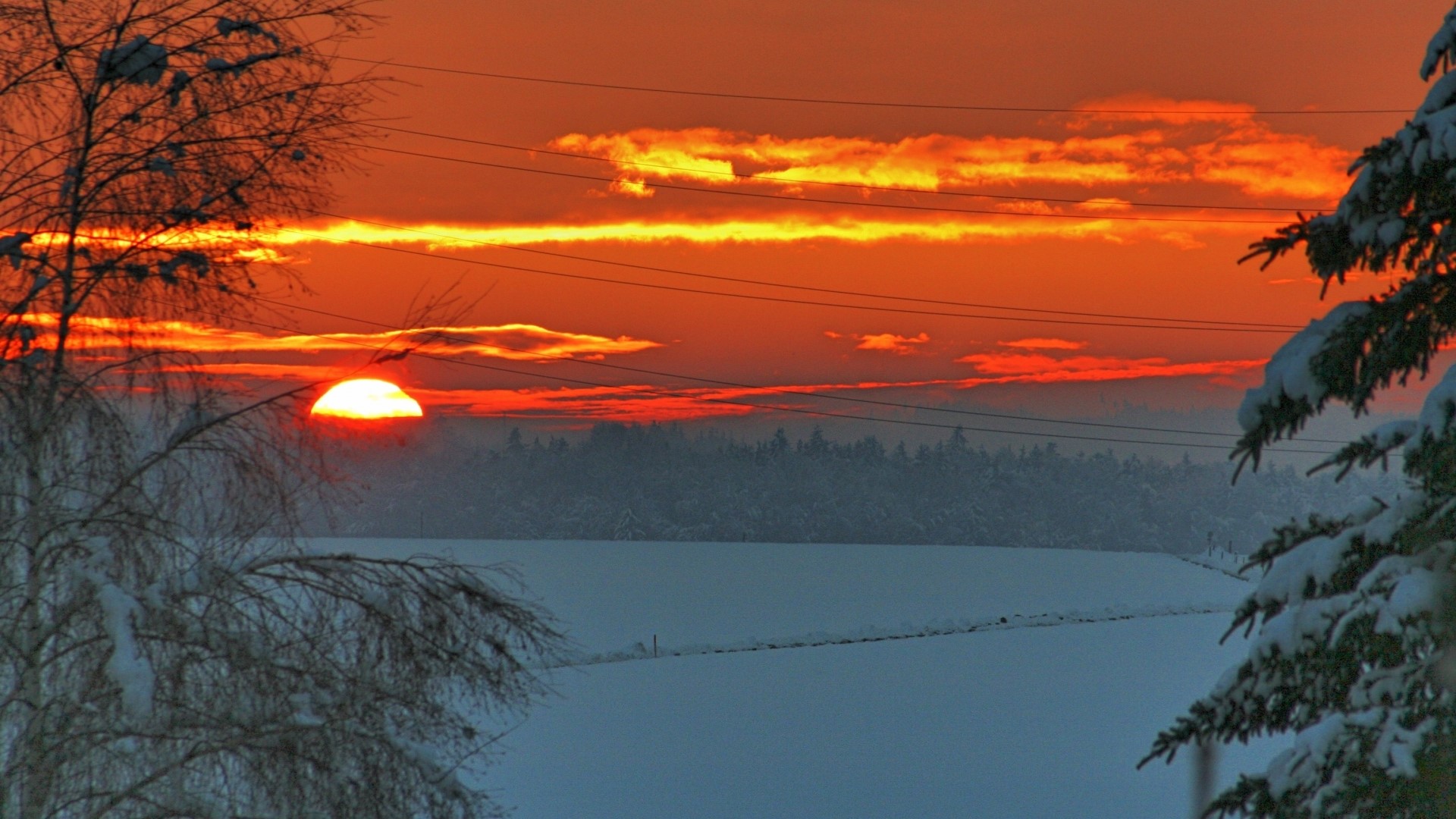 Winter sunset over a snowy field with trees HD Wallpaper