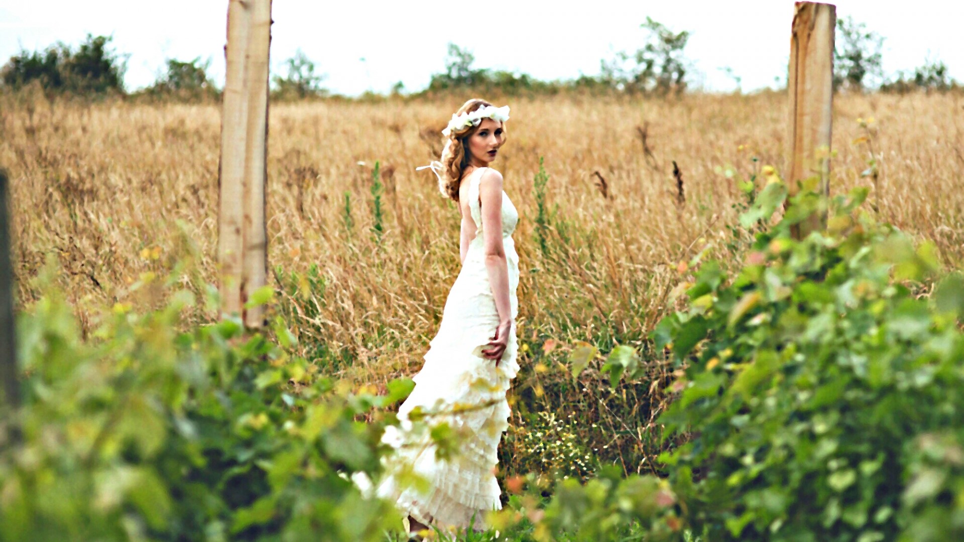 Woman in a white dress in a field HD Wallpaper