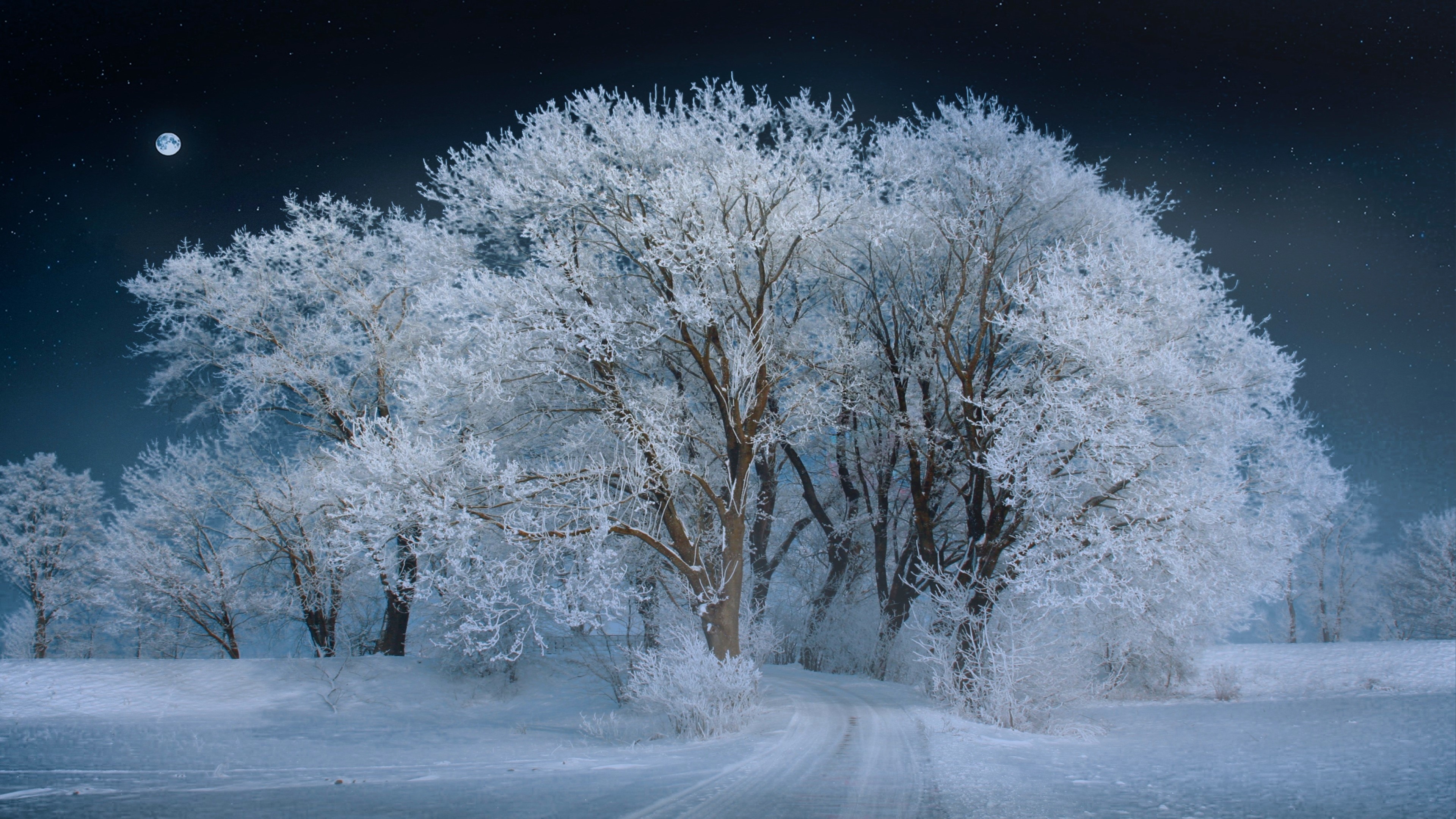 4K Nature Winter Scene with Moon HD Wallpaper