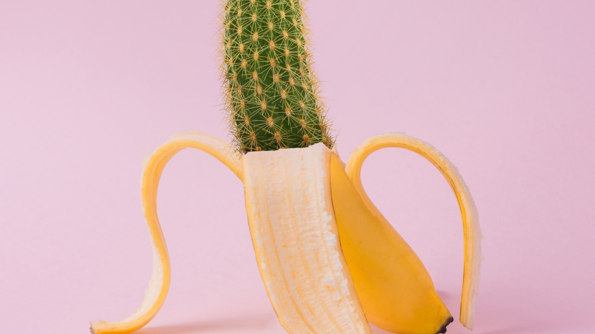 Cactus in a peeled banana HD Wallpaper