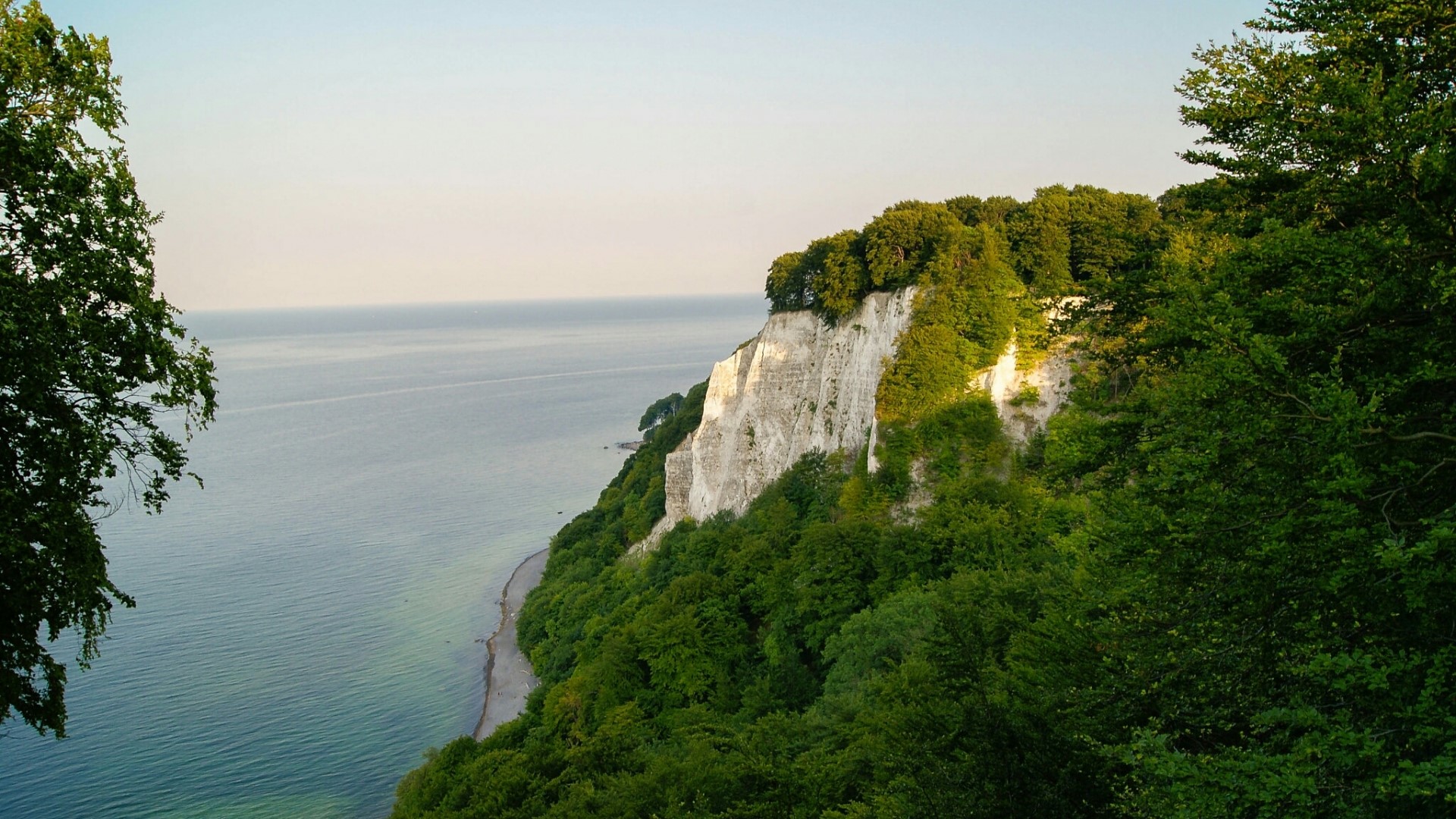 White cliffs covered in green trees overlooking the ocean HD Wallpaper