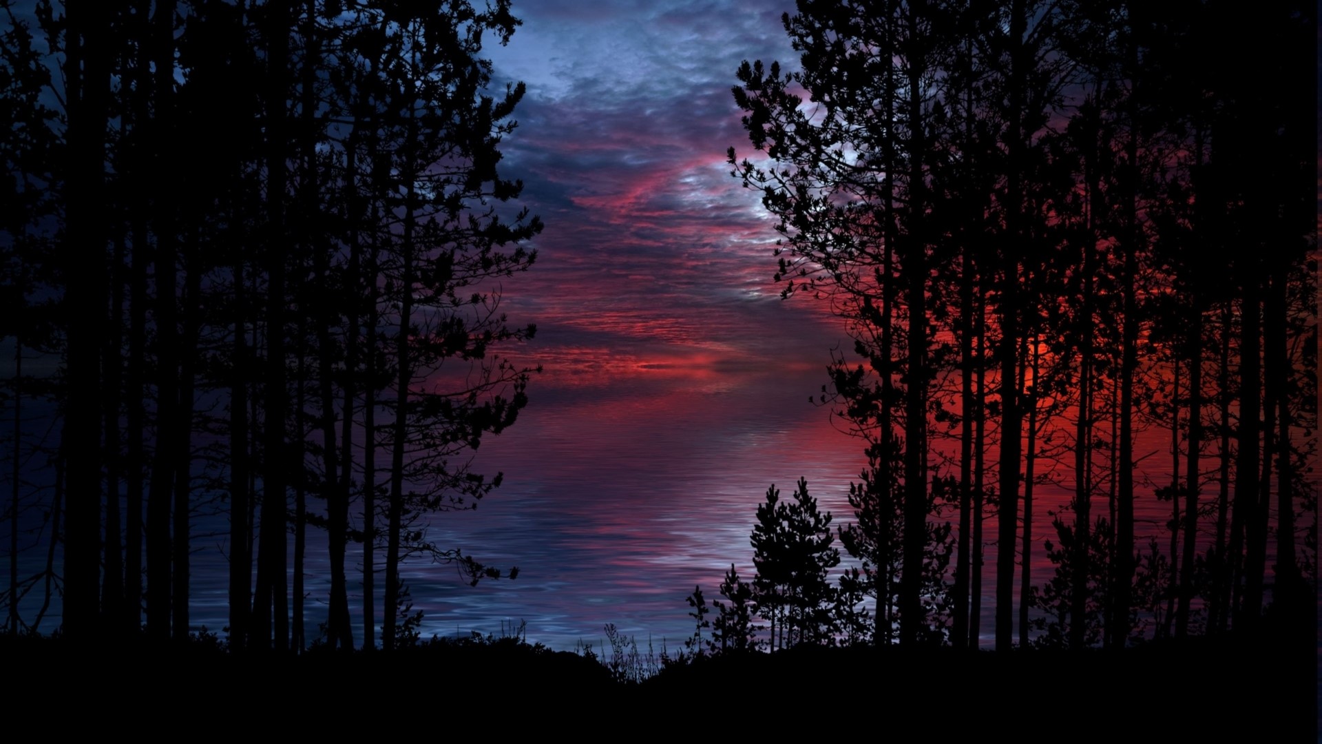 Sunset over water with silhouetted trees HD Wallpaper