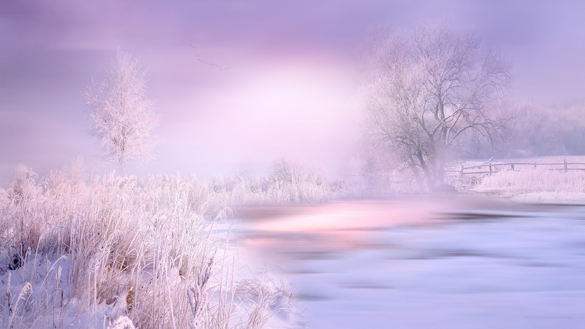 Winter landscape with frosted trees and a river HD Wallpaper