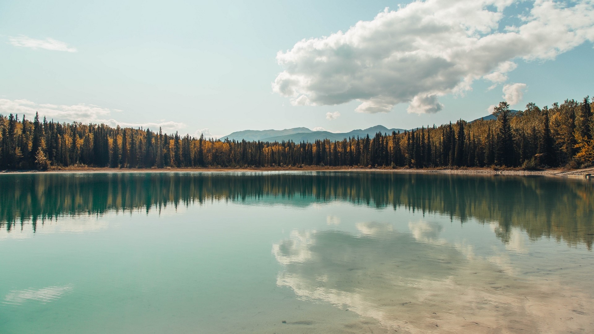 Lake with forest and mountains HD Wallpaper