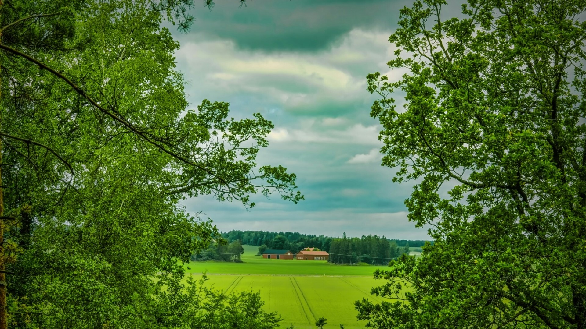 Farm buildings in a green field with trees and clouds HD Wallpaper