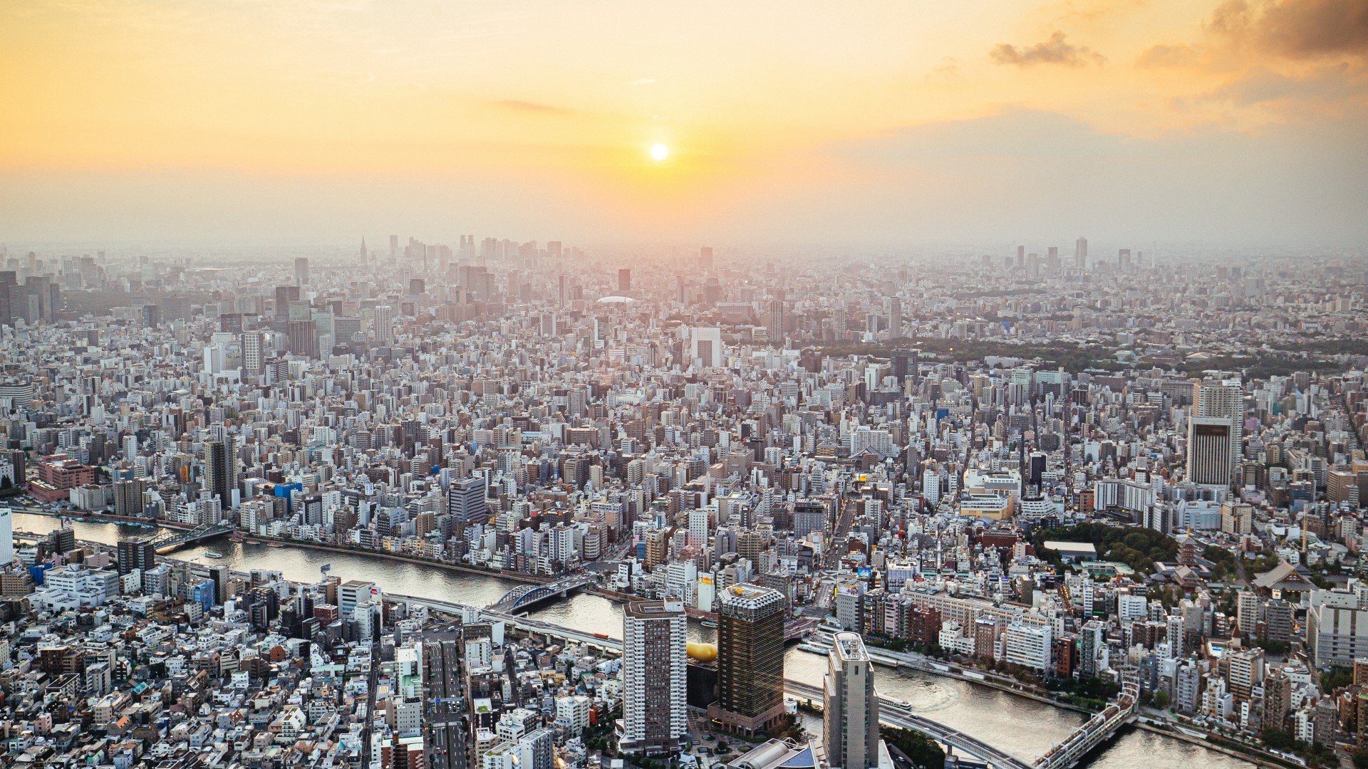 Aerial view of a sprawling megapolis at sunset HD Wallpaper