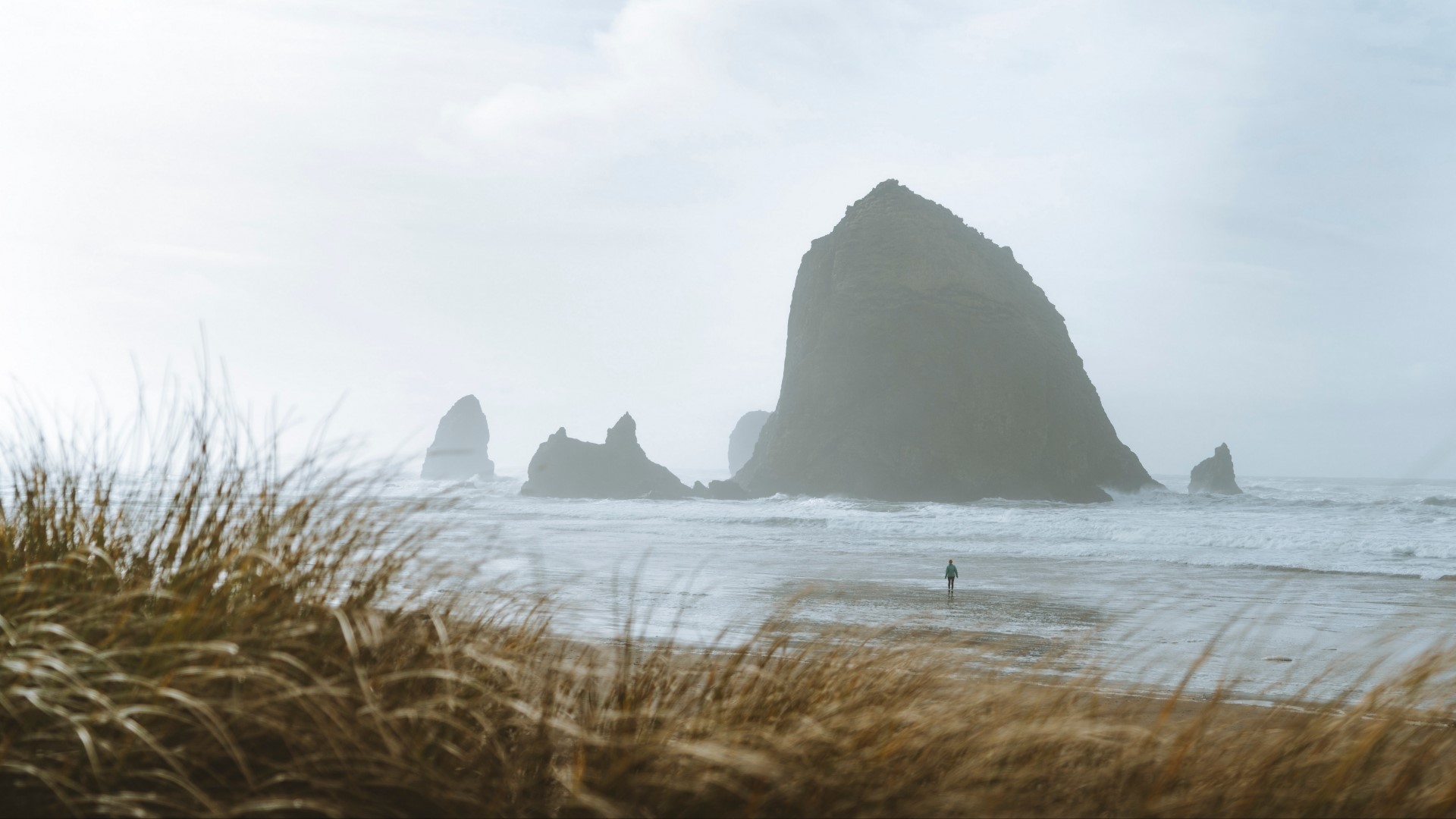 Person walking on beach with Haystack Rock HD Wallpaper