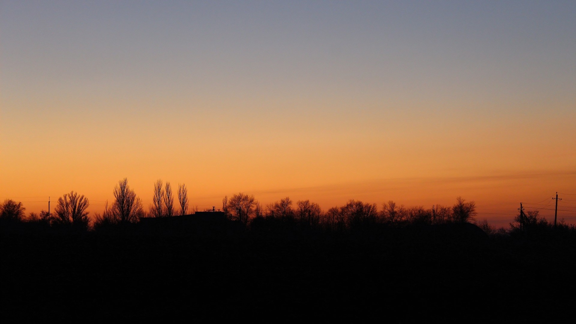 Silhouette of trees and buildings at sunset HD Wallpaper