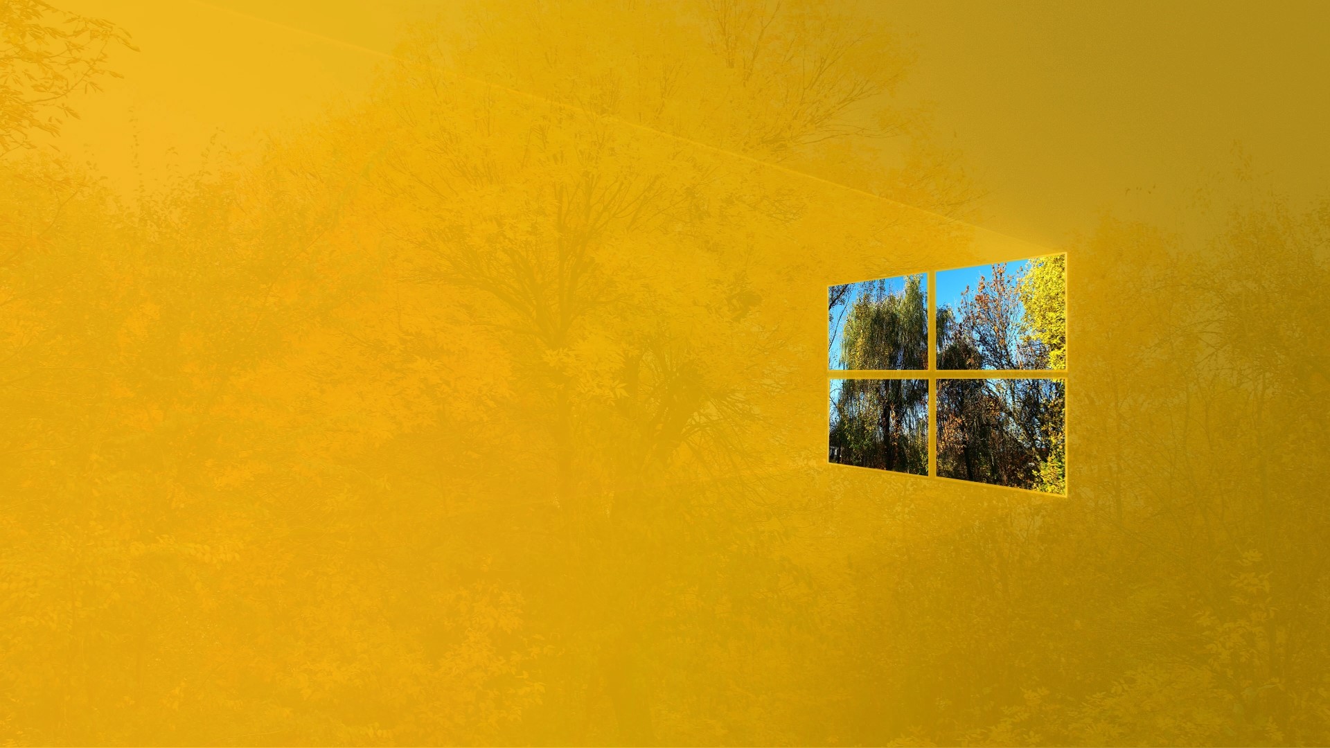 Autumn trees seen through a window HD Wallpaper