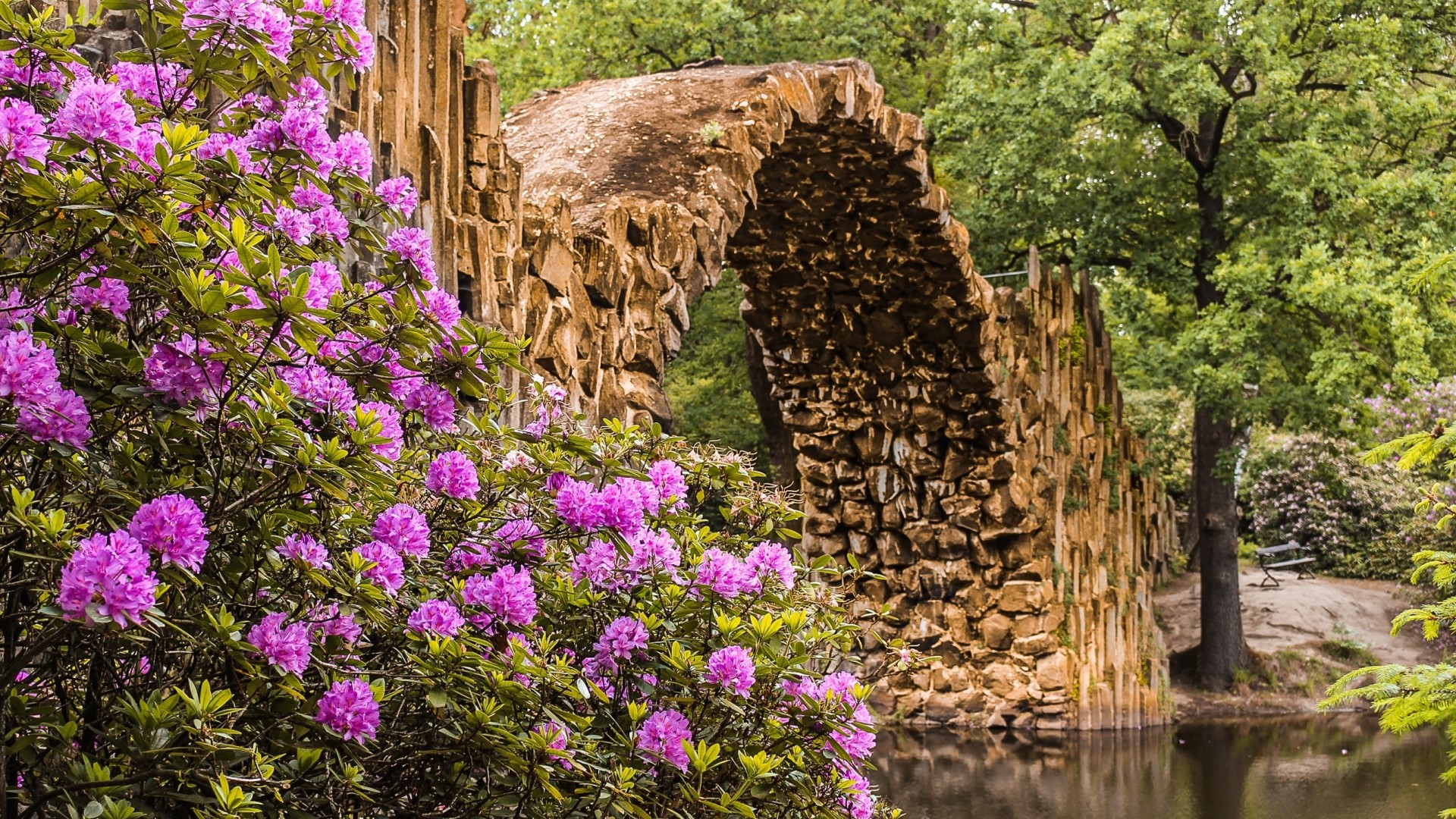 Stone bridge over water with pink flowers HD Wallpaper