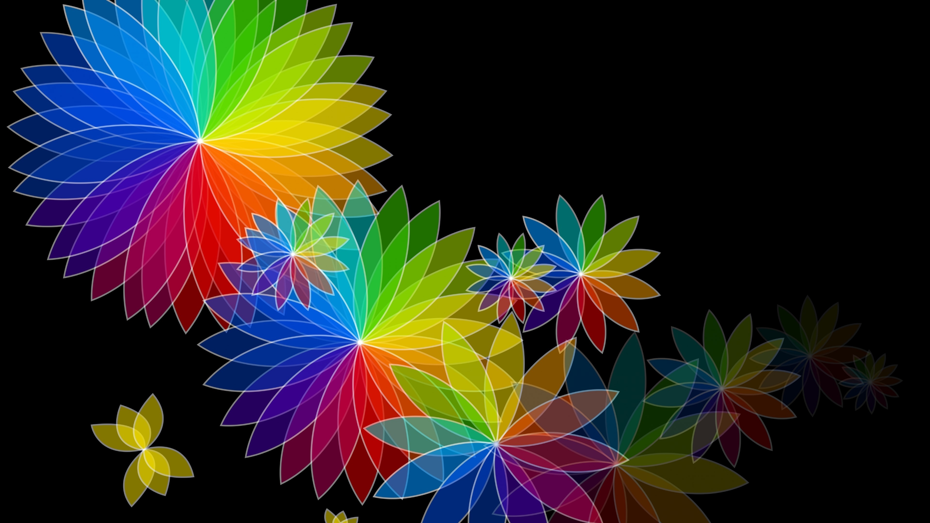 4K Rainbow Flowers Abstraction HD Wallpaper