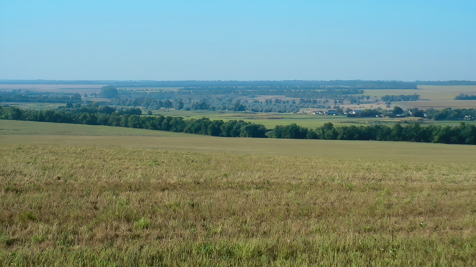 Summer landscape with fields and trees HD Wallpaper