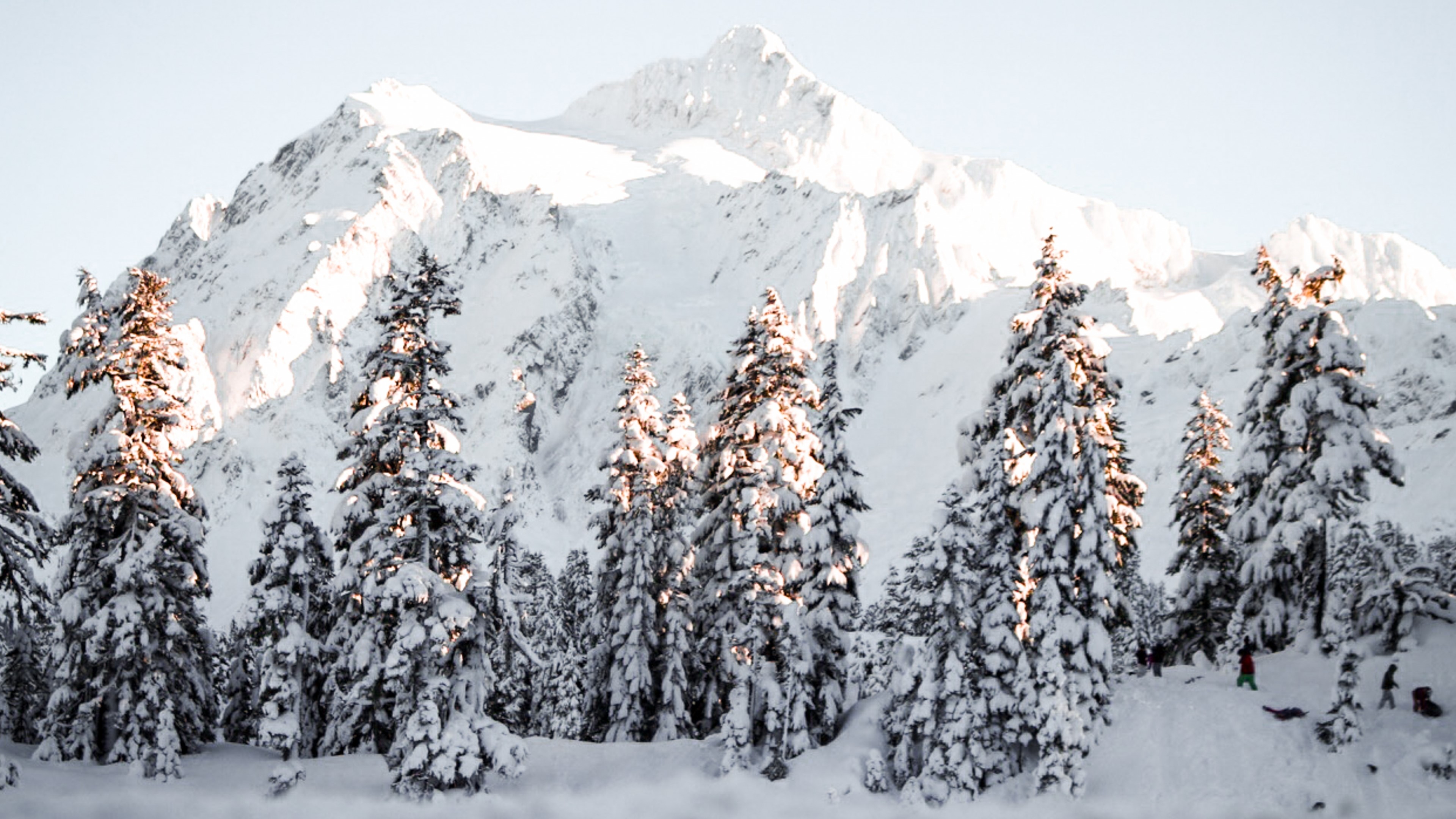Snowy mountain landscape with pine trees HD Wallpaper
