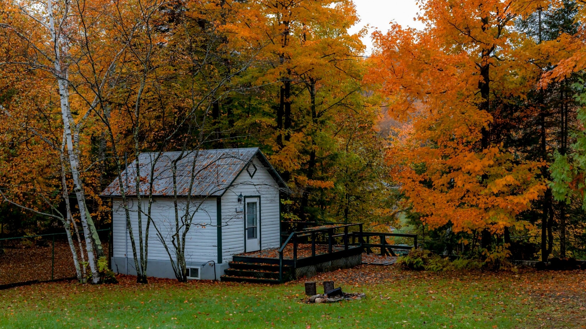 Autumn landscape with a small cabin HD Wallpaper