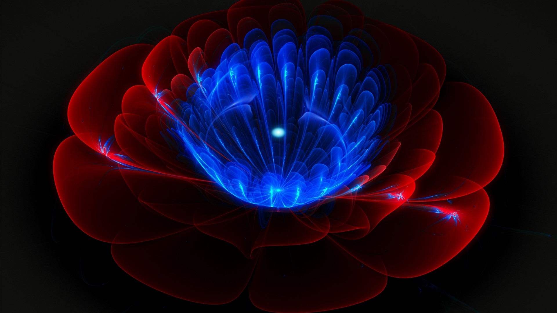 Abstract fractal flower with red petals and blue center HD Wallpaper