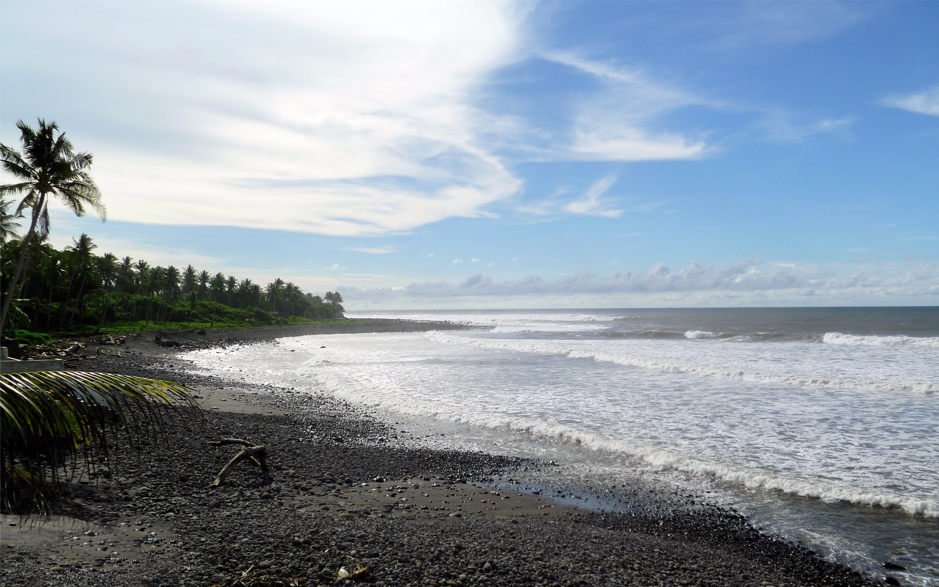 Black pebble beach with palm trees and ocean waves HD Wallpaper