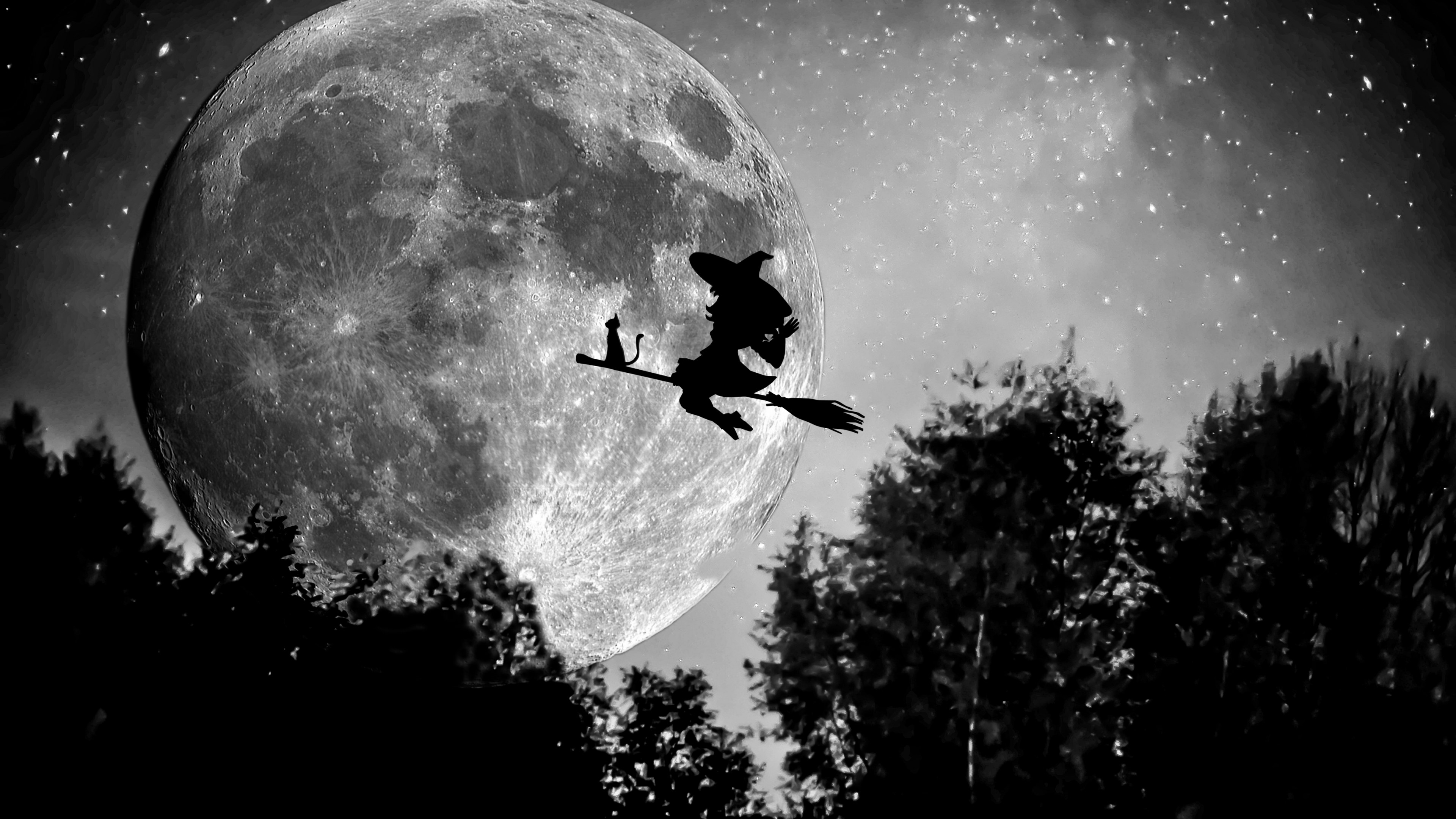 4K Halloween Witch Flying on Broom with Cat HD Wallpaper