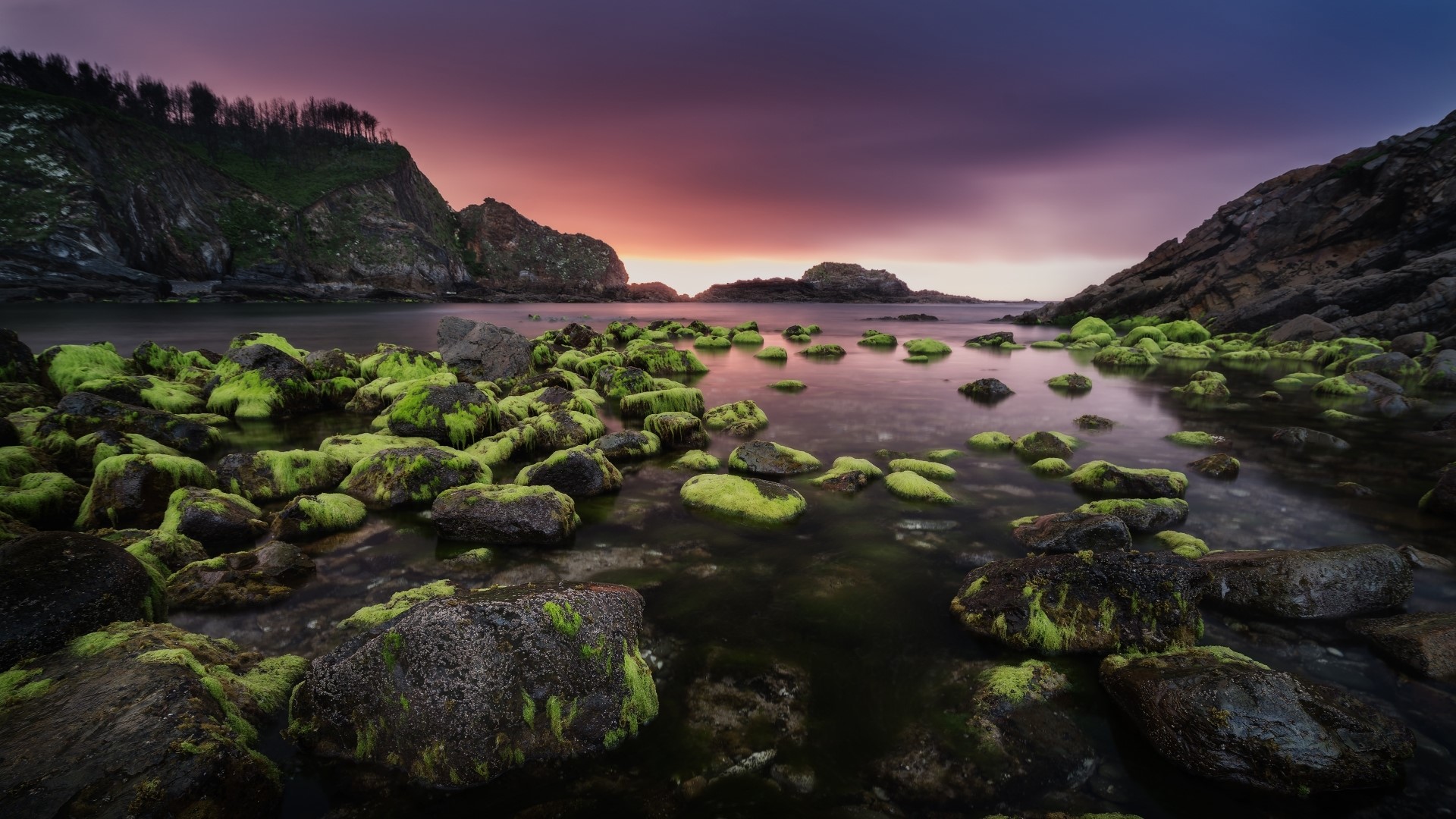 Rocks covered in seaweed at sunset HD Wallpaper
