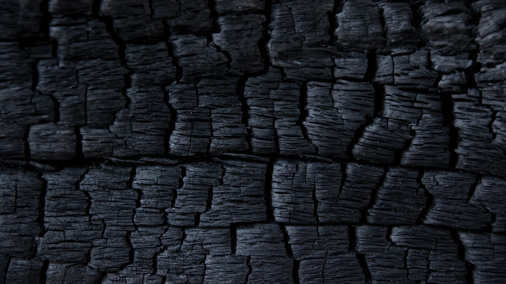 Close-up of burnt wood texture HD Wallpaper