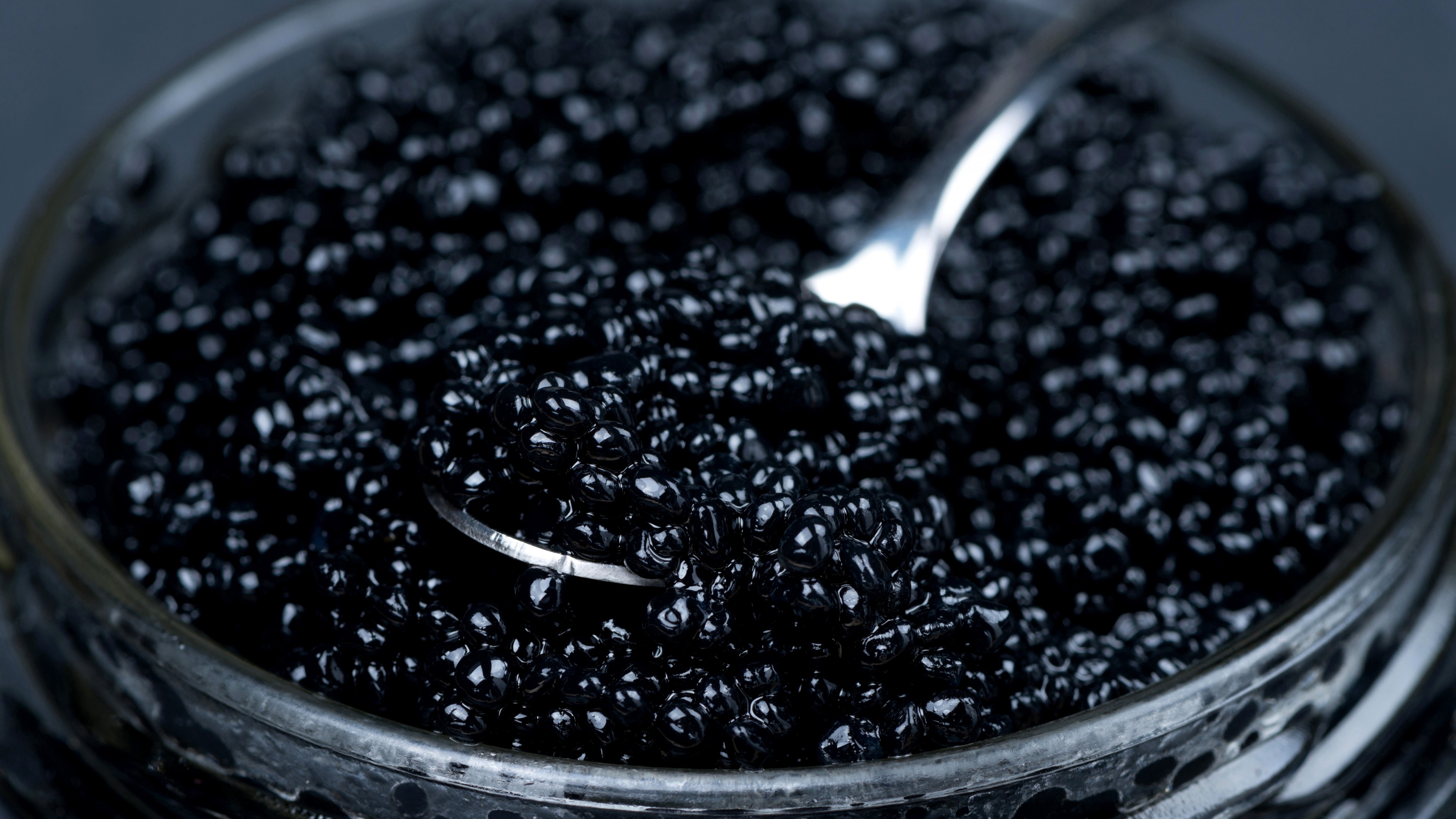 4K Caviar in a Bowl with Spoon HD Wallpaper