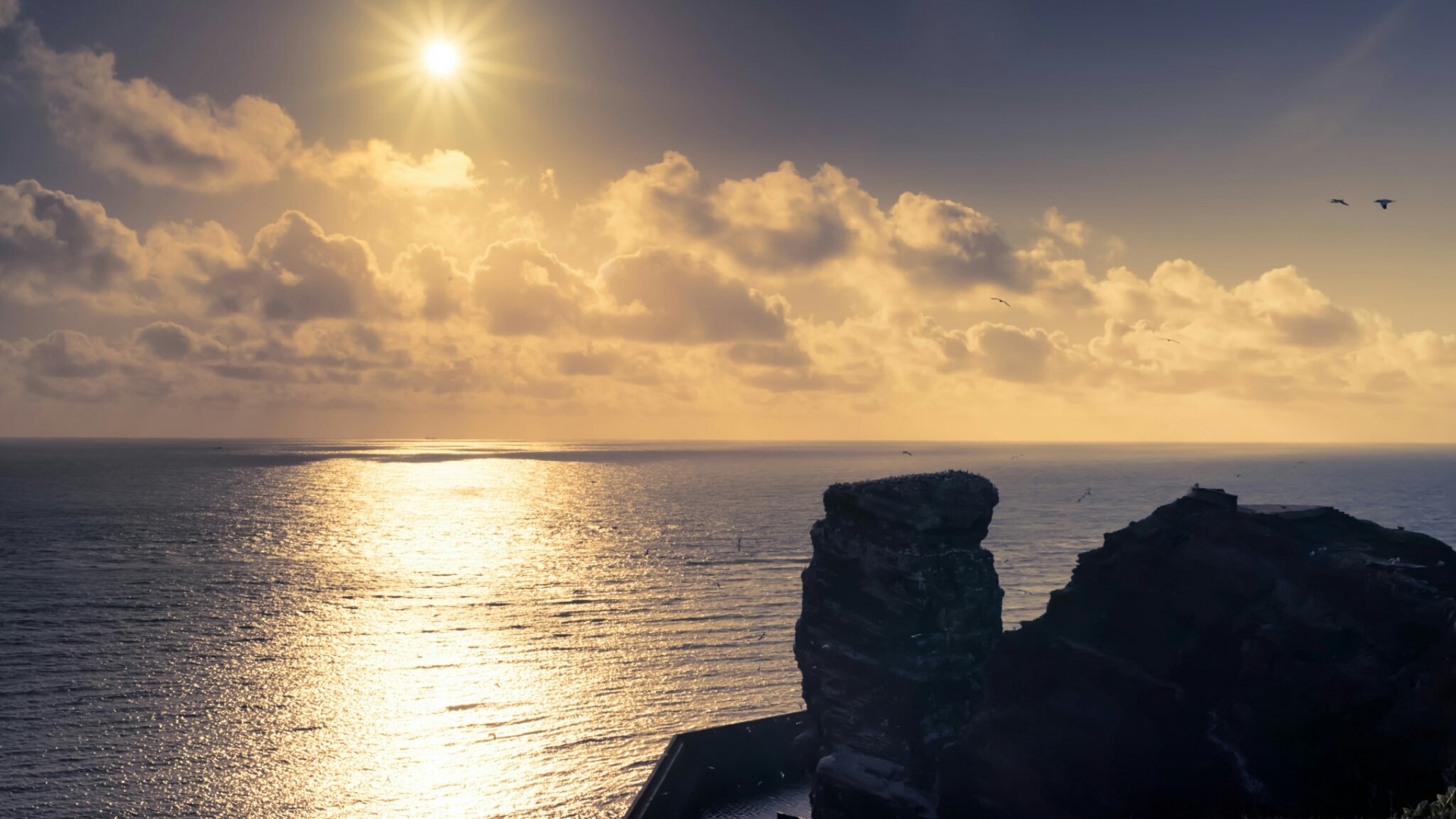 Sunset over the sea with cliffs and birds HD Wallpaper