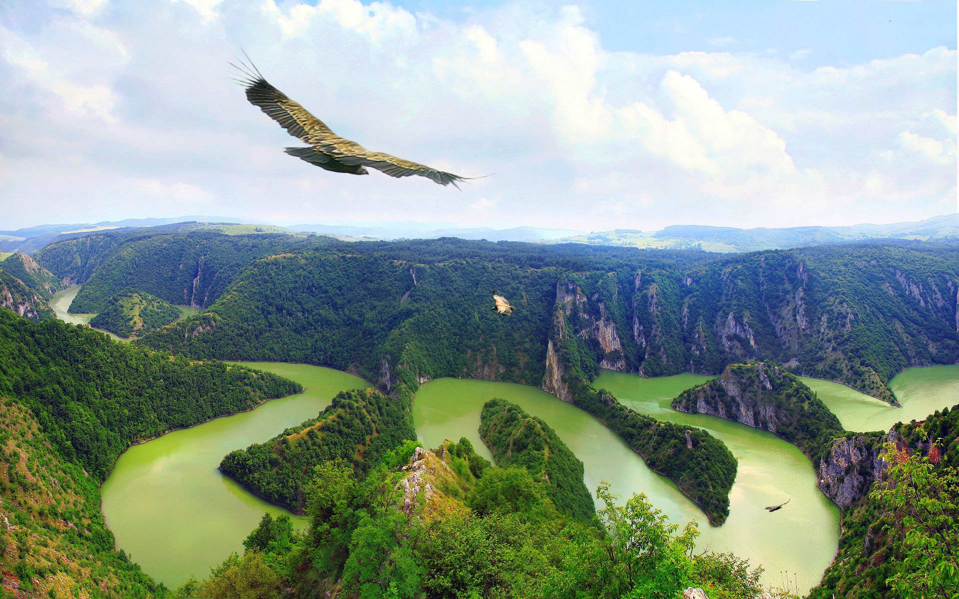 Birds flying over a winding river canyon HD Wallpaper