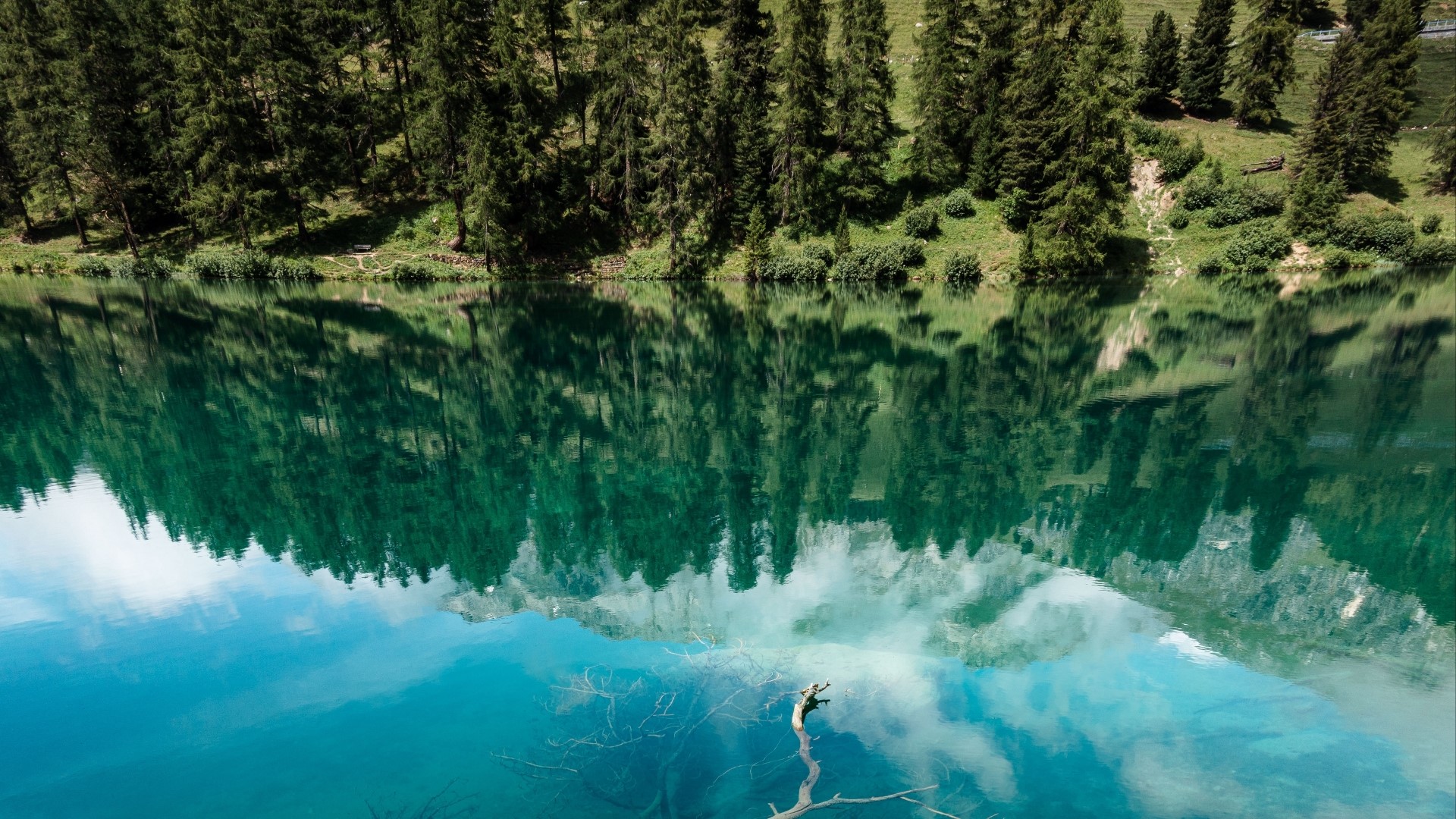 Lake with forest and mountain reflection HD Wallpaper