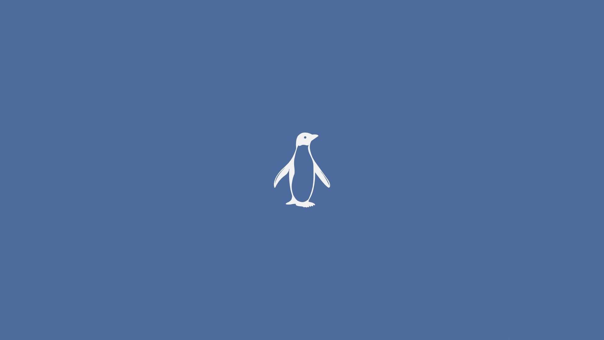 White Penguin on Blue Background HD Wallpaper