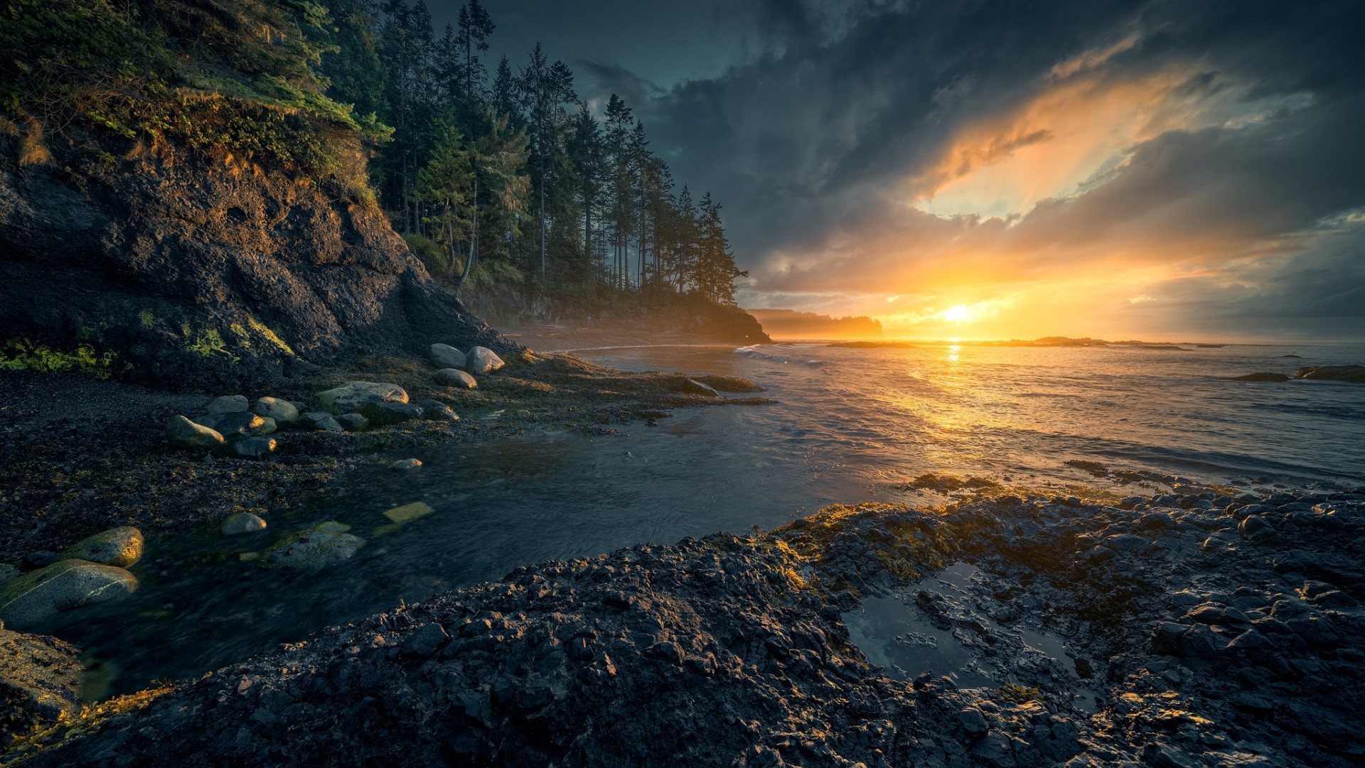 Sunset over a rocky coastline with a forest HD Wallpaper