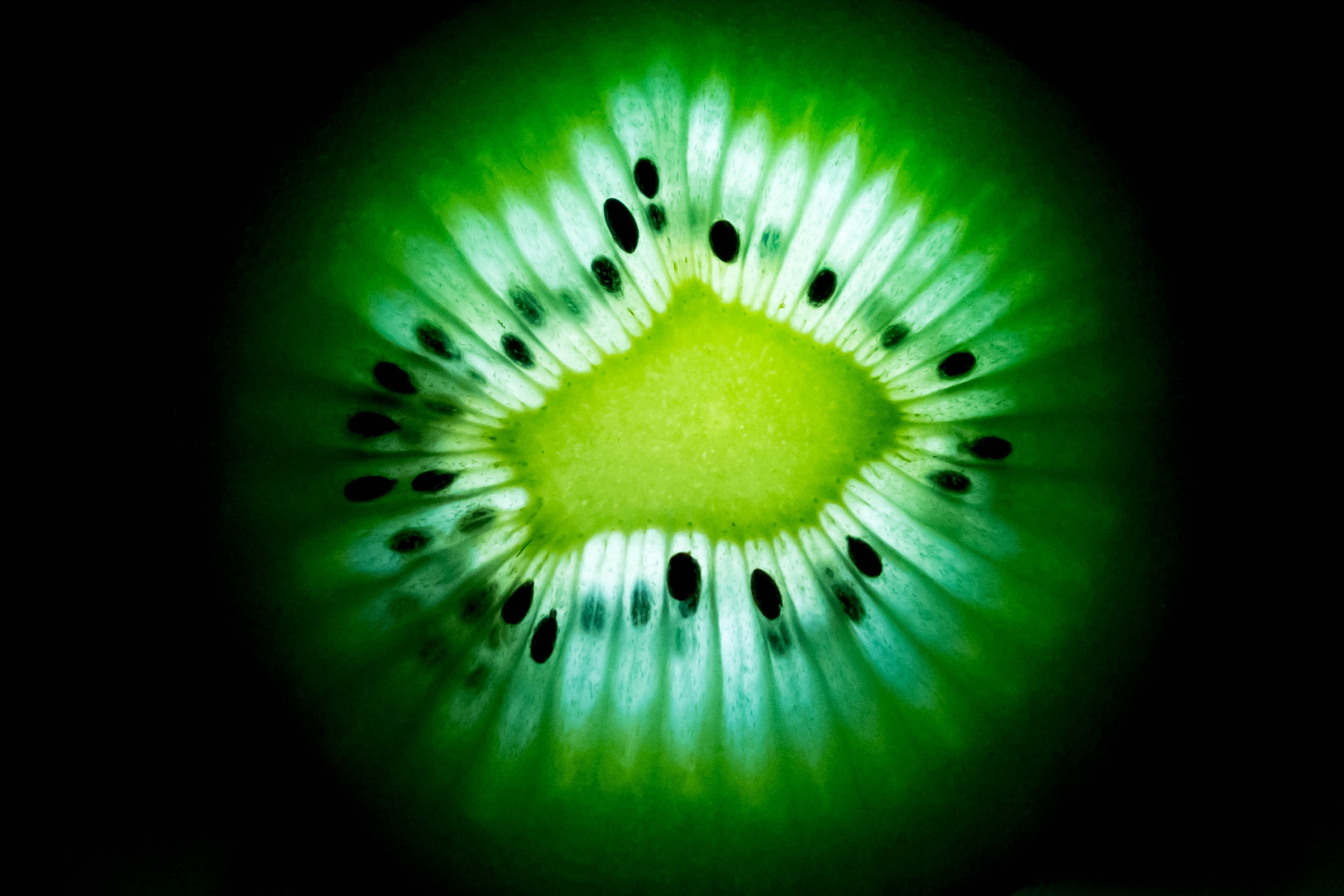 Close-up of a backlit kiwi fruit slice HD Wallpaper