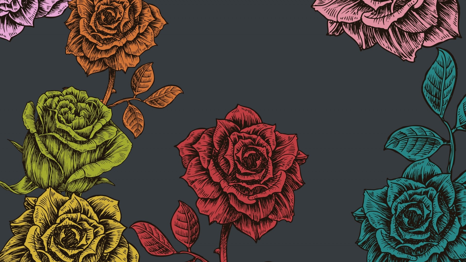 Illustration of colorful roses on a dark background HD Wallpaper