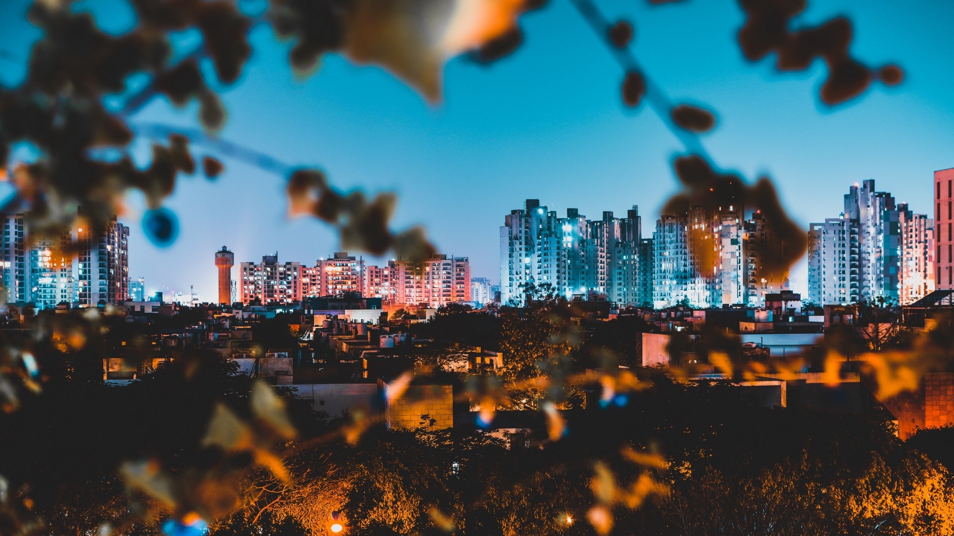 Night cityscape with illuminated buildings and trees HD Wallpaper