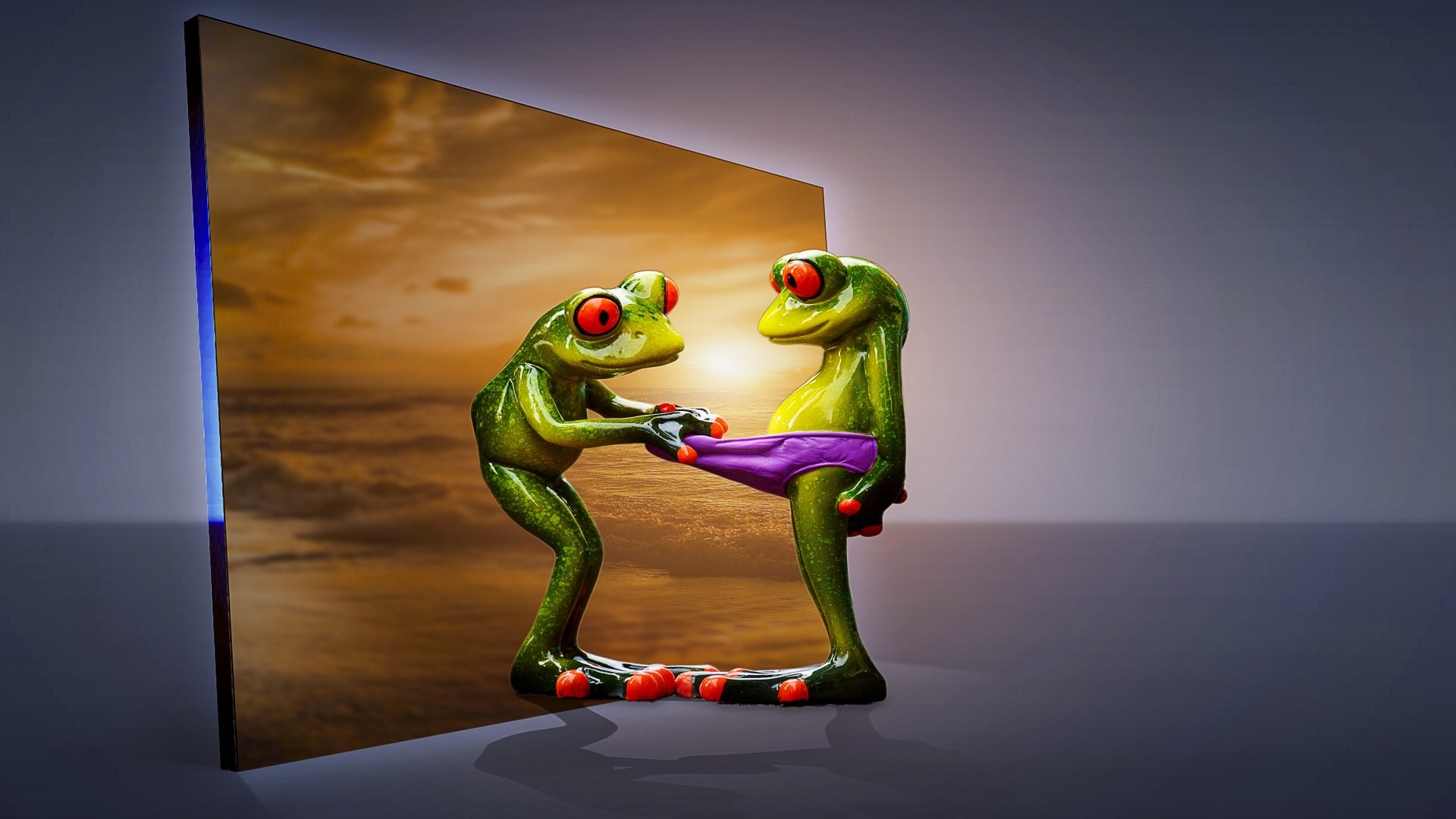 Two frogs with purple underwear HD Wallpaper