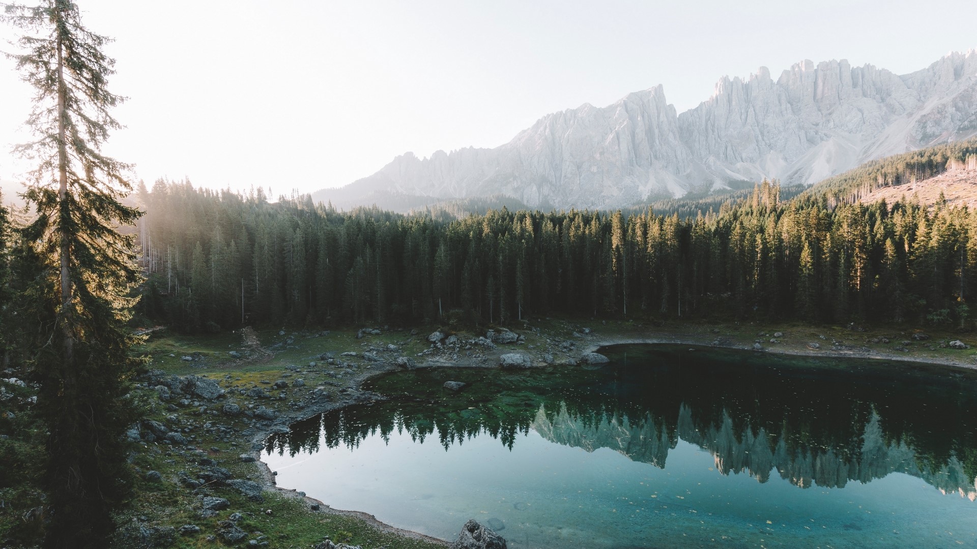 Lake and Mountains with Forest HD Wallpaper