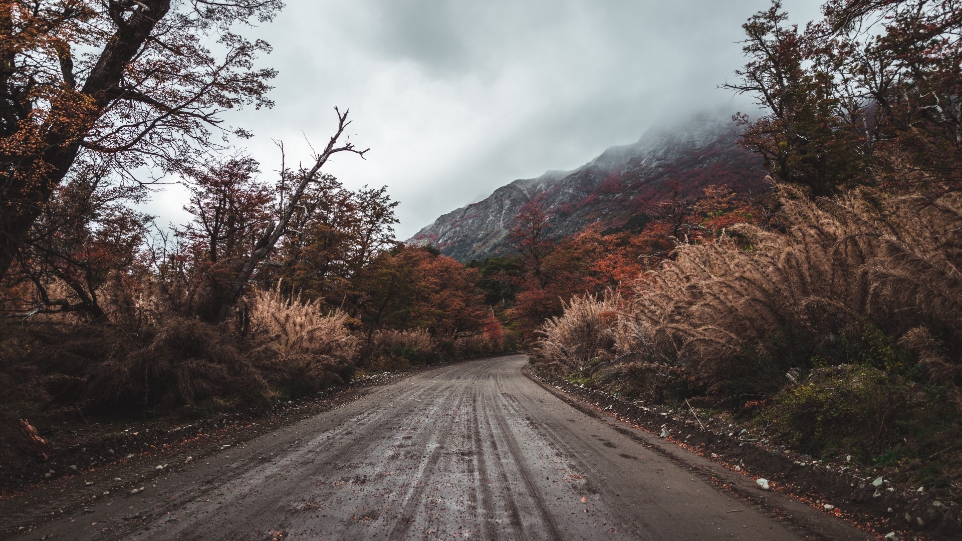 Dirt road through autumn forest with mountains HD Wallpaper