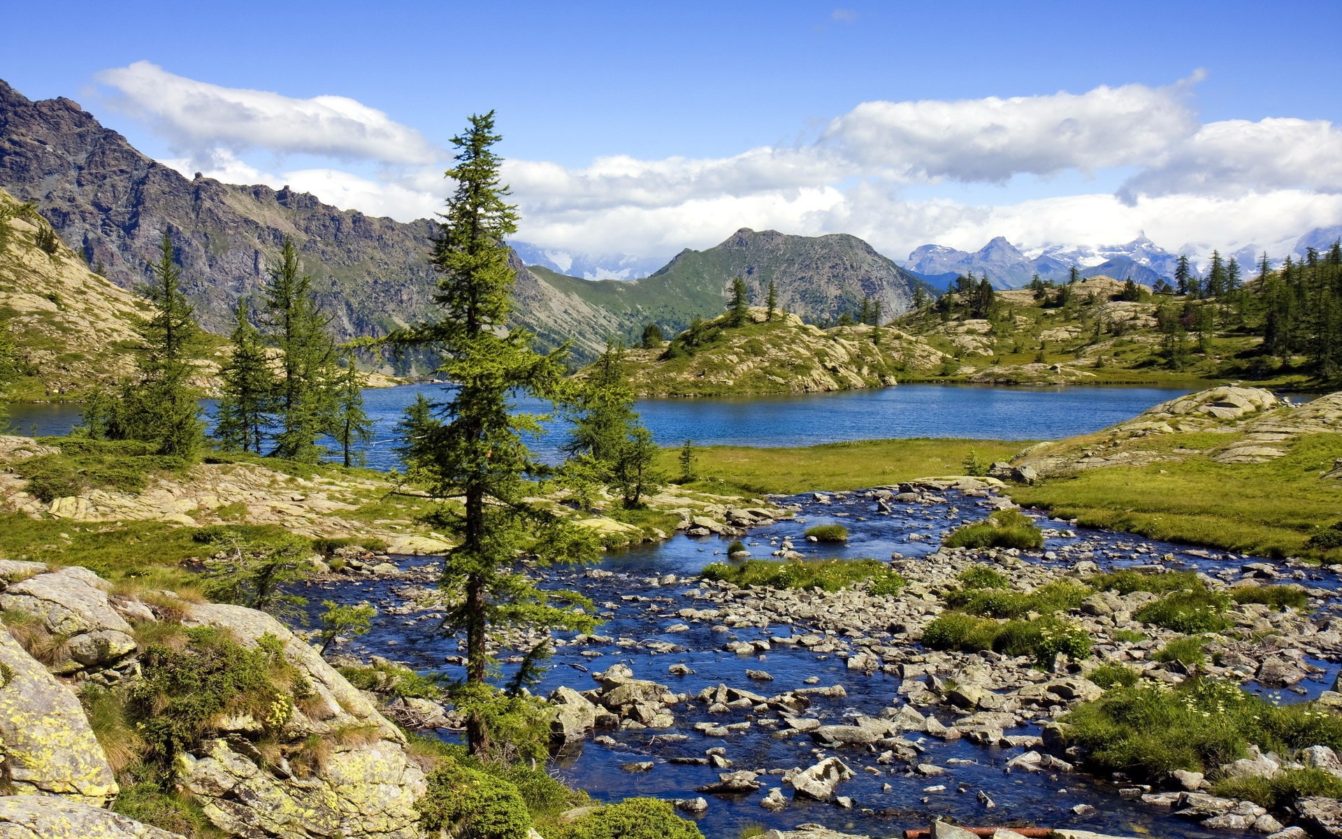 Mountain lake with a stream and pine trees HD Wallpaper