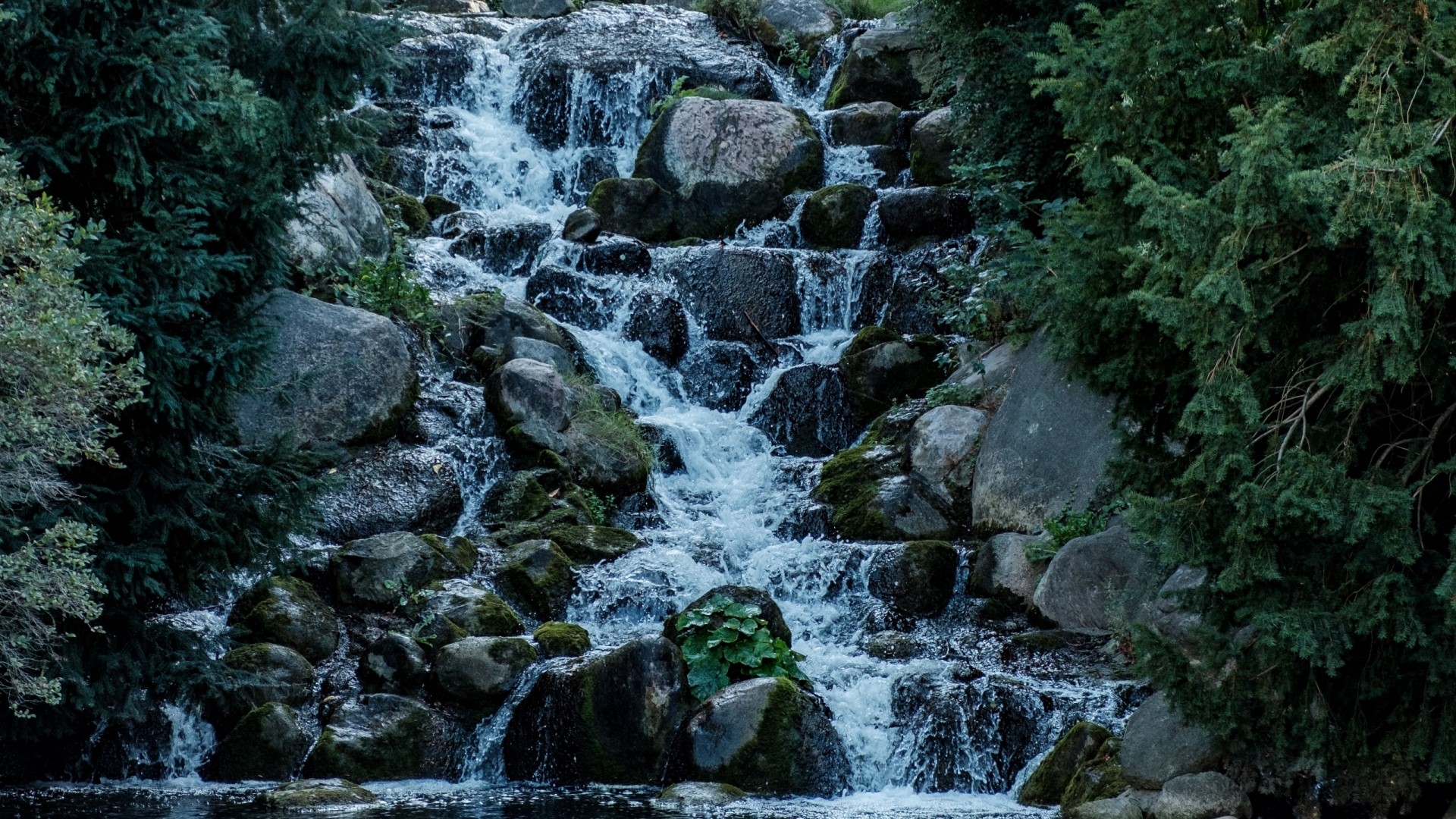 Waterfall cascading over mossy rocks HD Wallpaper