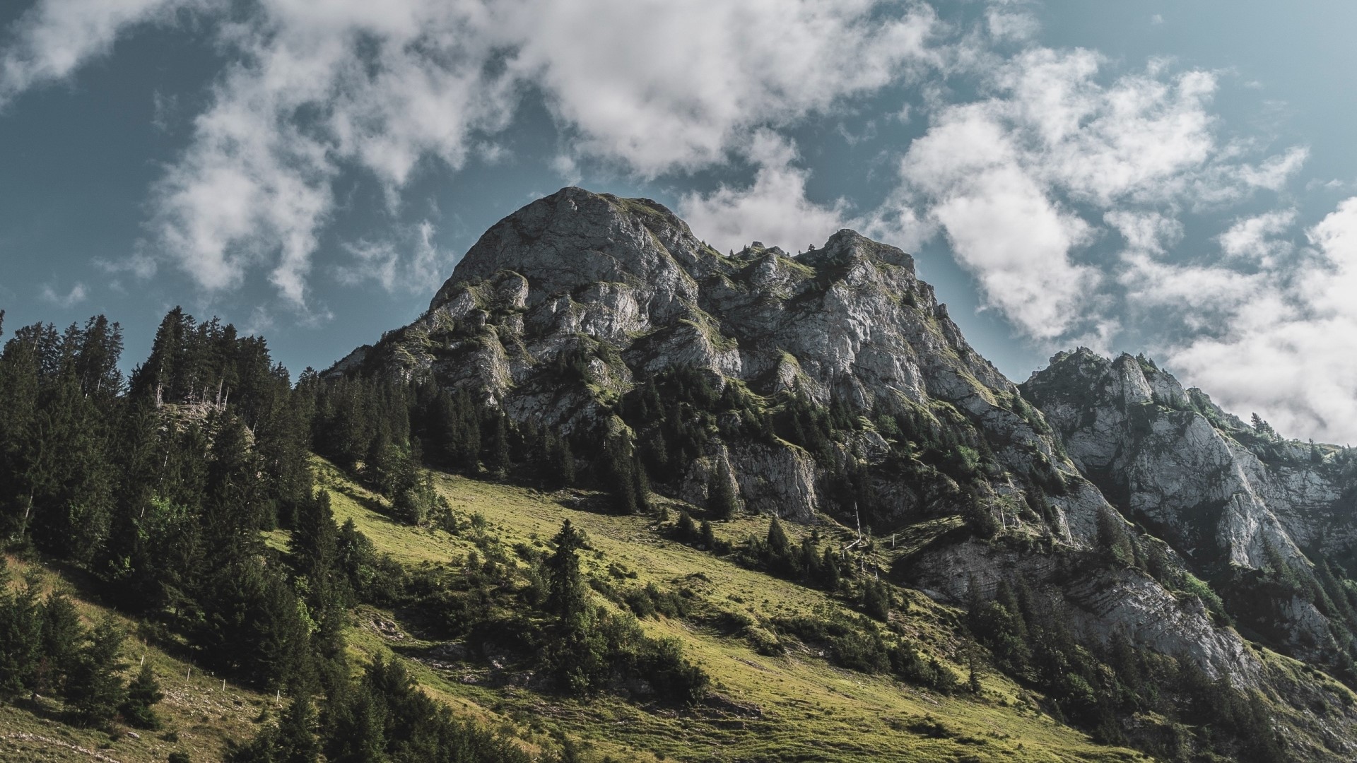 Rocky mountain peak with green slopes and trees HD Wallpaper