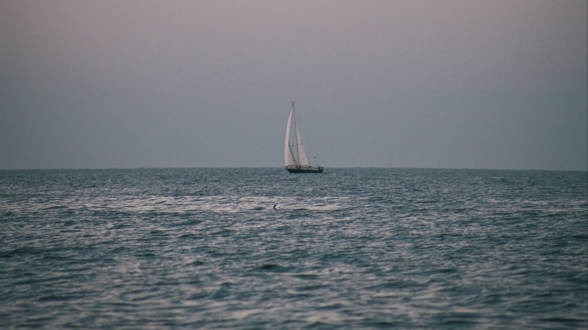 Sailboat on the ocean HD Wallpaper