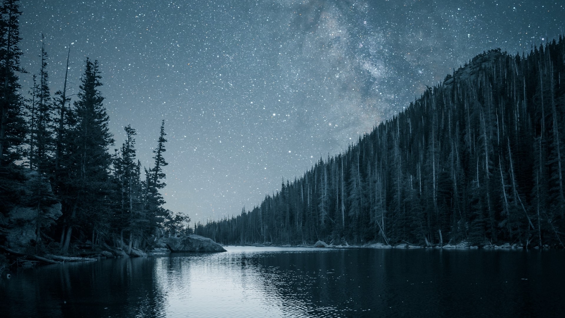 Starry night sky over a lake and forest HD Wallpaper