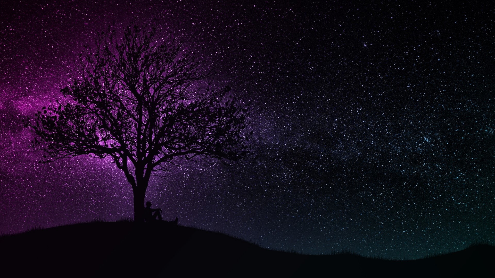 Silhouette of a person under a tree against a starry sky HD Wallpaper