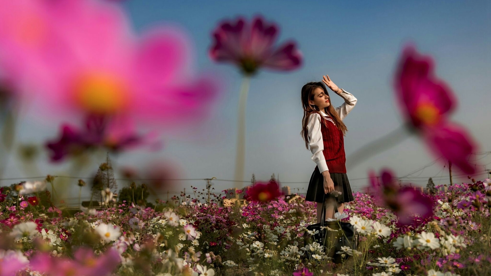 Girl in a field of flowers HD Wallpaper