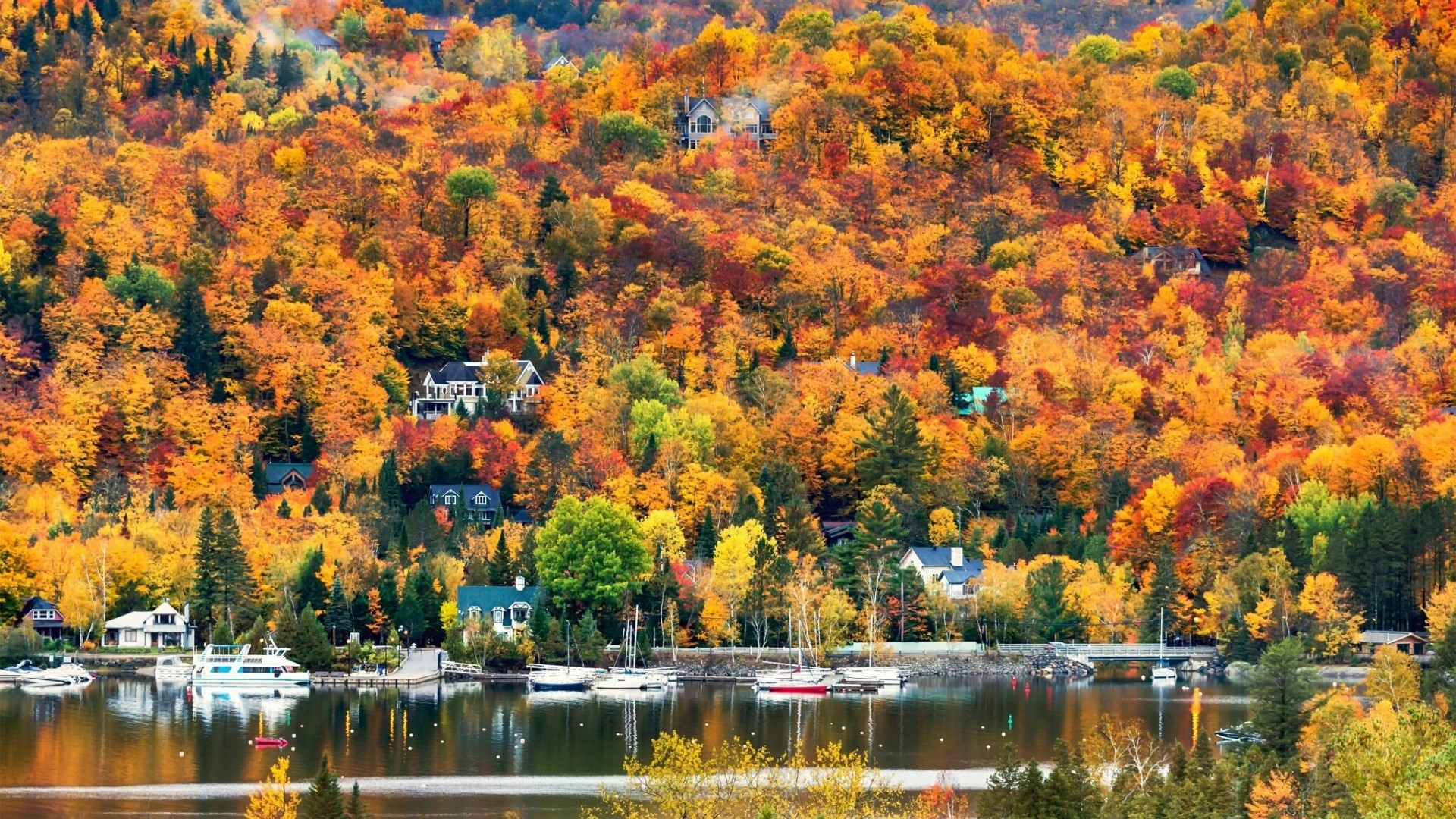 Autumn landscape with houses and lake HD Wallpaper