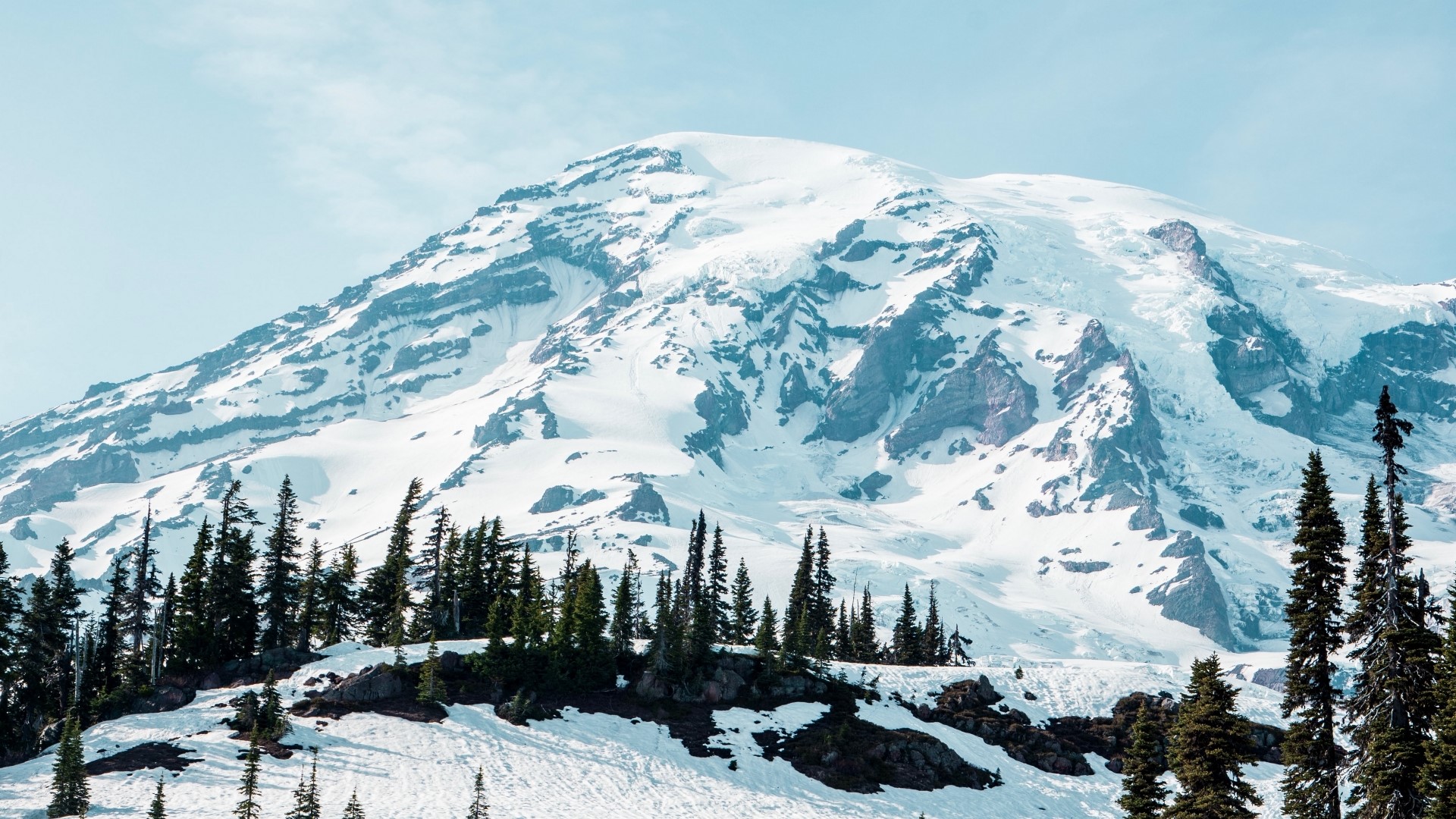 Snow-covered mountain with pine trees HD Wallpaper