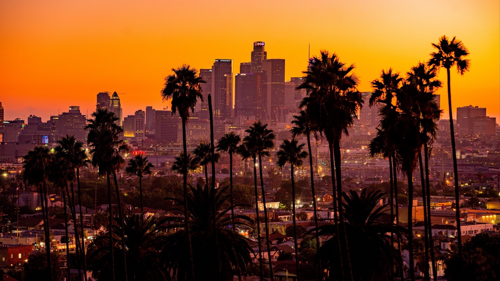 Los Angeles skyline at sunset with palm trees HD Wallpaper